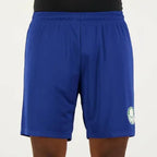 CALCAO MASC PALMEIRAS PLAYER - 06- AZUL
